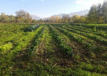 In Valle Peligna con Slow Food Chieti