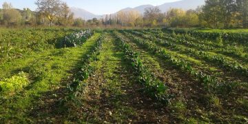 In Valle Peligna con Slow Food Chieti