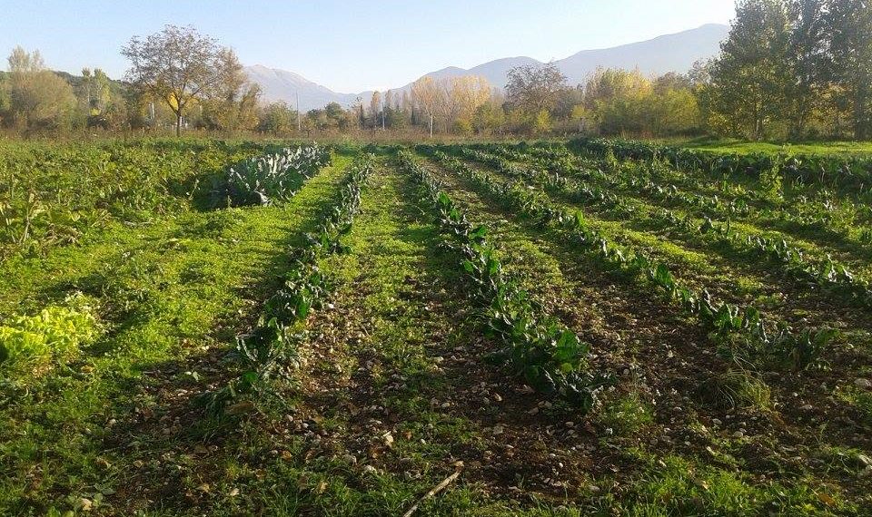 In Valle Peligna con Slow Food Chieti