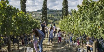 Movimento Turismo del Vino Abruzzo, al via Cantine Aperte in Vendemmia