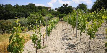 Al via Gessi DiVini, degustazioni e convivialità con vista sulla Maiella