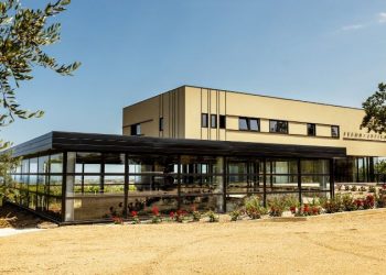 Slow Food Chieti, visita archeo-enologica all’azienda Feudo Antico di Tollo
