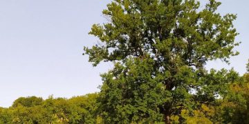 Bucchianico, nella Contea Gentile si festeggia il Dì di Durin