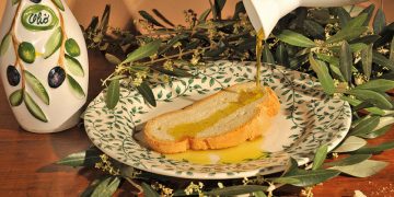 Passeggiata tra gli ulivi e degustazione di olio EVO con Slow Food Pescara