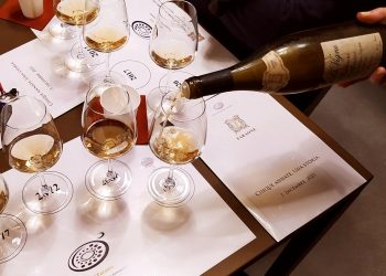 Cinque annate, una storia: il Trebbiano d’Abruzzo di Faraone si racconta