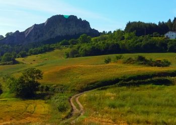 Gessopalena, alla scoperta di vitigni (e vini) antichi nelle terre del Sangro-Aventino