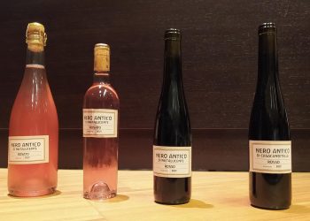 Gessopalena, alla scoperta di vitigni (e vini) antichi nelle terre del Sangro-Aventino