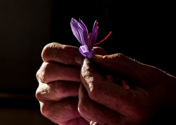 Uomini e Zafferano nel nuovo libro del fotografo pescarese Luciano D’Angelo