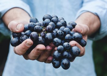 L’Abruzzo del vino buono, pulito e giusto al Sana Slow Wine Fair di Bologna