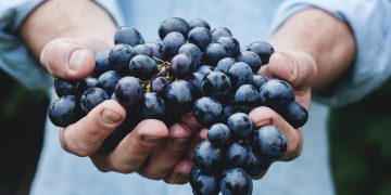 L’Abruzzo del vino buono, pulito e giusto al Sana Slow Wine Fair di Bologna