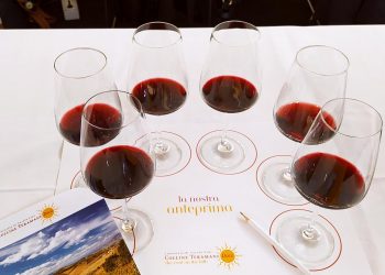 Tutto il gusto di un territorio nei vini DOCG (ma non solo) delle Colline Teramane