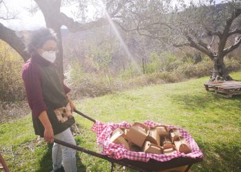 Teramo, nuovo appuntamento con i picnìc del Mercato Itinerante della Terra