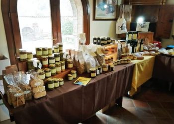 Teramo, nuovo appuntamento con i picnìc del Mercato Itinerante della Terra
