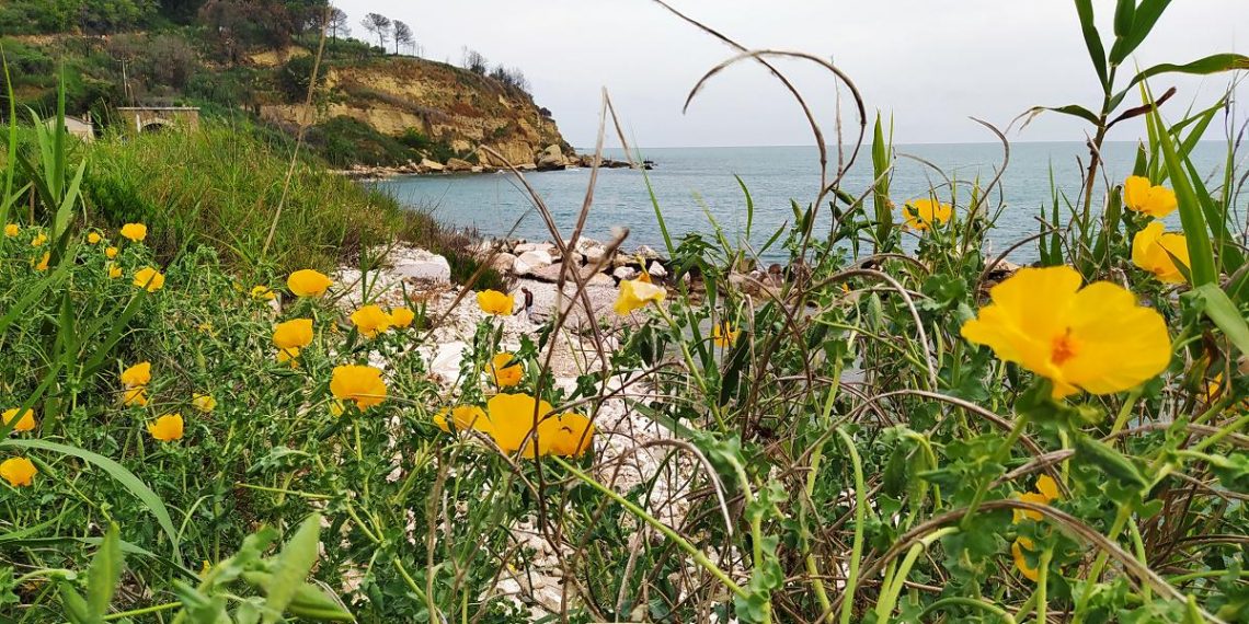 Ortona, al borgo marinaro dell’Acquabella tra storie di naufraghi, venti e ritorni