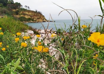 Ortona, al borgo marinaro dell’Acquabella tra storie di naufraghi, venti e ritorni