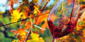 L’Abruzzo a La Terra Trema 2022, tra vignaioli, agricoltori e contadini resistenti