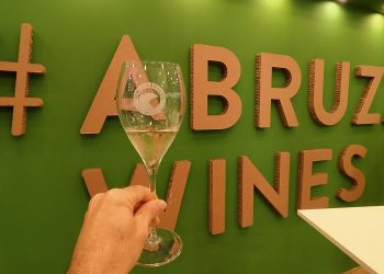 Vinitaly 2023, convince il Modello Abruzzo tra nuove denominazioni e degustazioni storiche