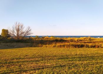 Giardino in Rosa, brindisi di fine estate a San Salvo con l’AIS Abruzzo
