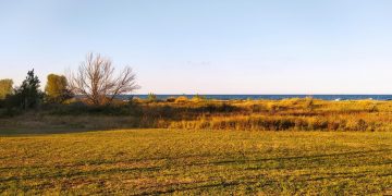 Giardino in Rosa, brindisi di fine estate a San Salvo con l’AIS Abruzzo
