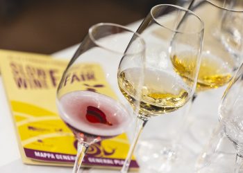 Bologna, la sostenibilità del vino al centro di Slow Wine Fair 2025