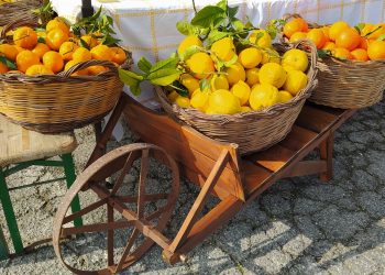 La Vianova delle Arance, a Vallevò si celebrano gli agrumi della Costa dei Trabocchi