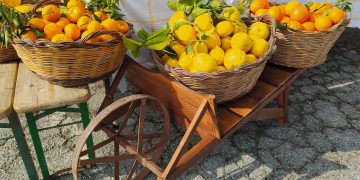 La Vianova delle Arance, a Vallevò si celebrano gli agrumi della Costa dei Trabocchi