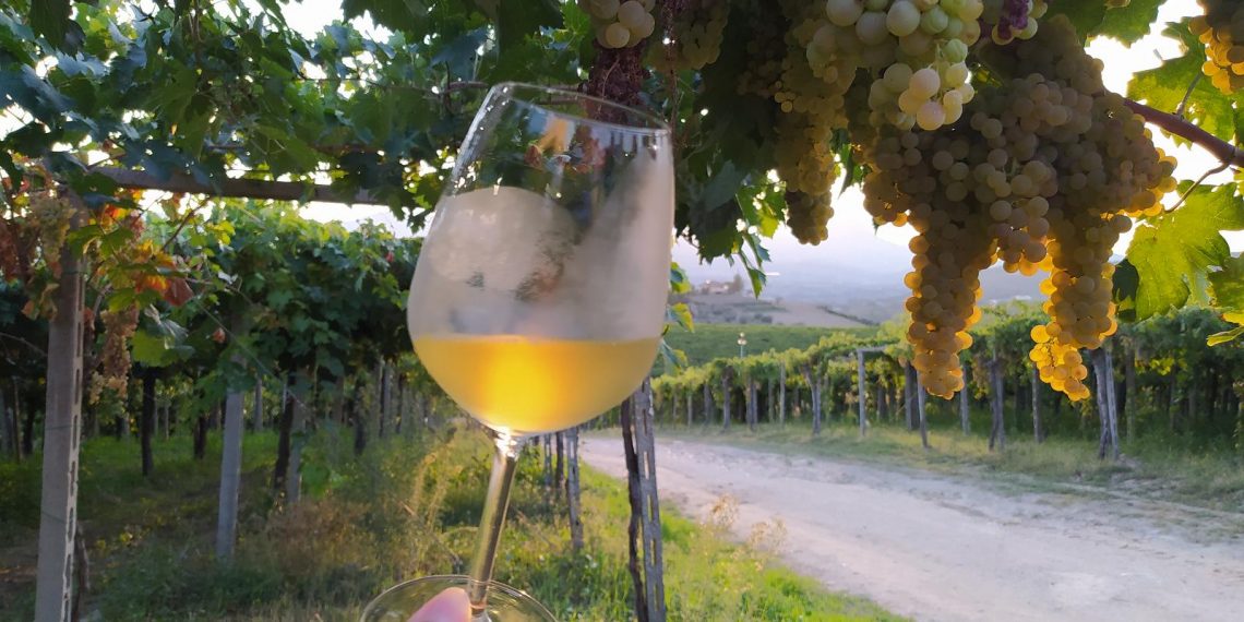Loreto Aprutino, aperitivo bucolico da Ciavolich per inaugurare la stagione estiva