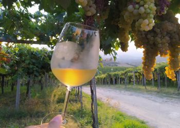 Loreto Aprutino, aperitivo bucolico da Ciavolich per inaugurare la stagione estiva
