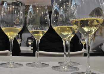 Berebianco 2025, a Roma i grandi vini bianchi italiani da invecchiamento