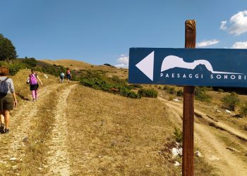 Paesaggi Sonori 2025, dieci anni di passi lenti, musica e meraviglie
