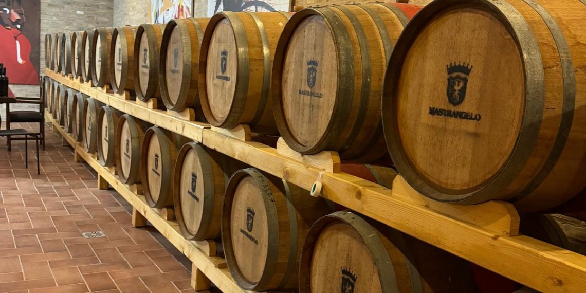 Vino, cultura e cultura del vino: a Spoltore per Arte in barricaia 2025