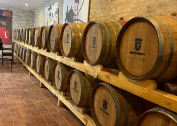 Vino, cultura e cultura del vino: a Spoltore per Arte in barricaia 2025