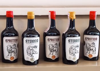 Aprutium, da Celenza sul Trigno il vermut d’Abruzzo conquista Torino