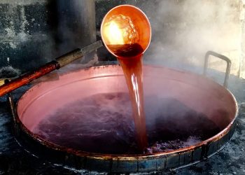 Slow Wine Fair 2026, tra masterclass e nuovi presìdi l’Abruzzo del vino si presenta a Bologna