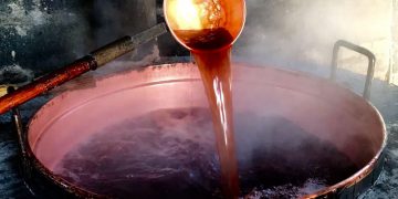 Slow Wine Fair 2026, tra masterclass e nuovi presìdi l’Abruzzo del vino si presenta a Bologna