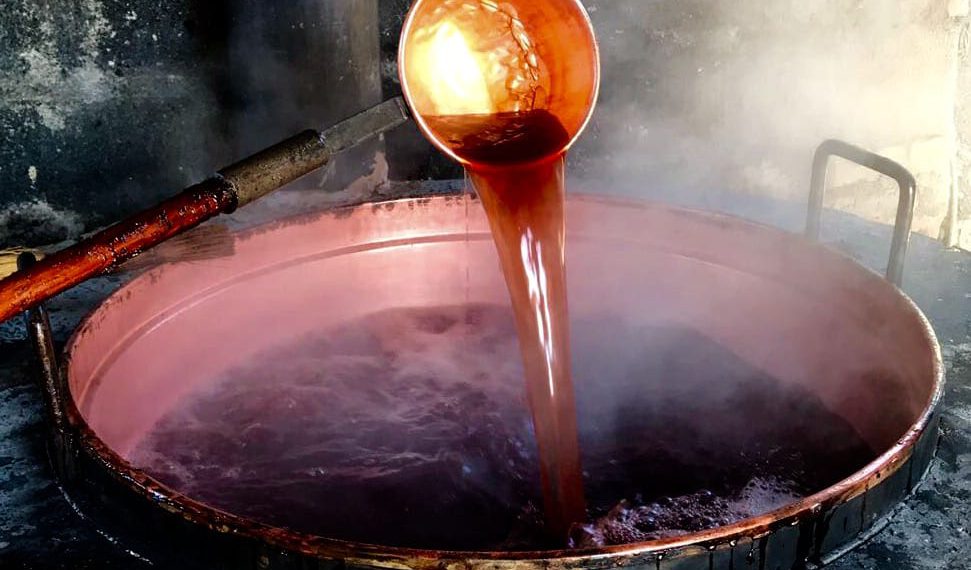 Slow Wine Fair 2026, tra masterclass e nuovi presìdi l’Abruzzo del vino si presenta a Bologna