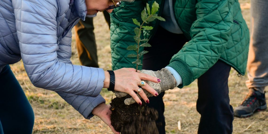 Abbateggio, messi a dimora i primi alberi del Bosco dei Patriarchi e del Frutteto Storico