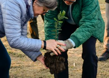 Abbateggio, messi a dimora i primi alberi del Bosco dei Patriarchi e del Frutteto Storico