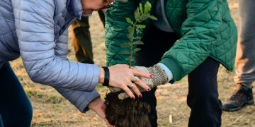Abbateggio, messi a dimora i primi alberi del Bosco dei Patriarchi e del Frutteto Storico