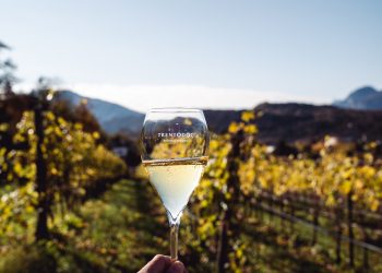 Metodo classico di montagna, dati in crescita per l’Istituto Trentodoc