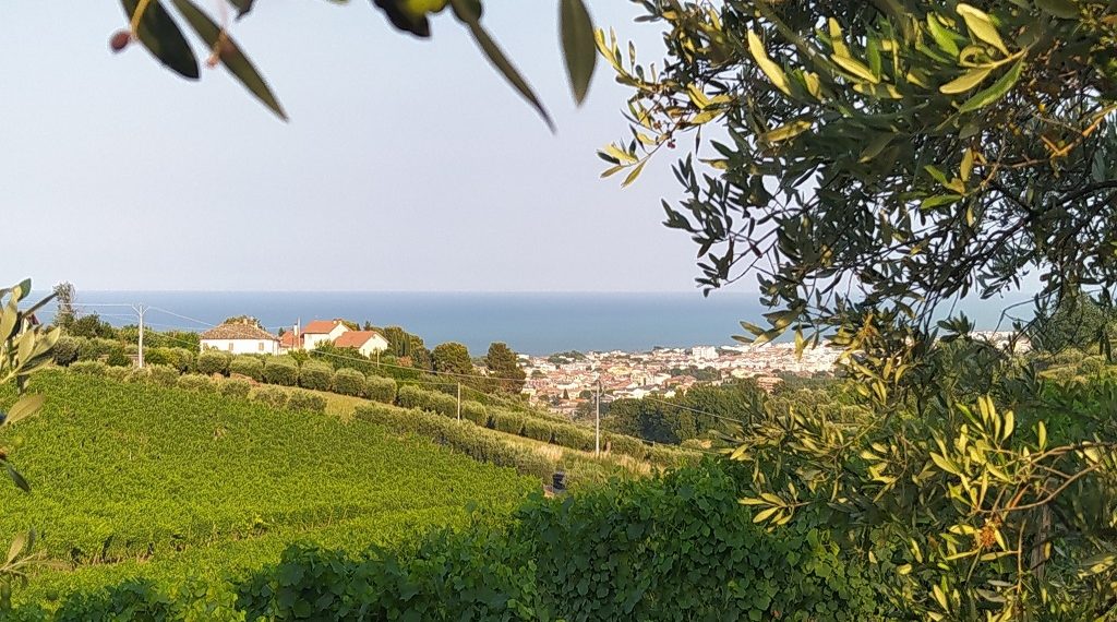 Sostenibilità, gusto, cultura e cura del territorio, sulle colline teramane per Tortoreto Greendays 2026