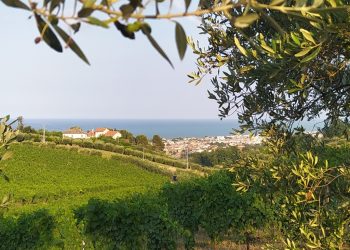 Sostenibilità, gusto, cultura e cura del territorio, sulle colline teramane per Tortoreto Greendays 2026