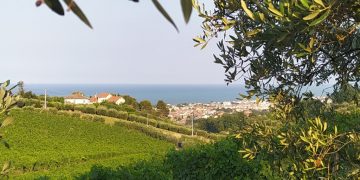 Sostenibilità, gusto, cultura e cura del territorio, sulle colline teramane per Tortoreto Greendays 2026