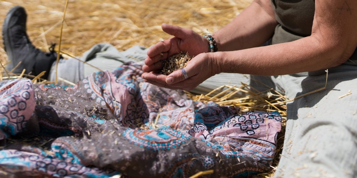Profumi, sapori e socialità a Frattura Vecchia con De Rerum Natura 2026