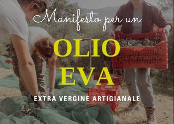 Federazione Italiana Olivicoltori Indipendenti, nasce il Manifesto per un olio EVA