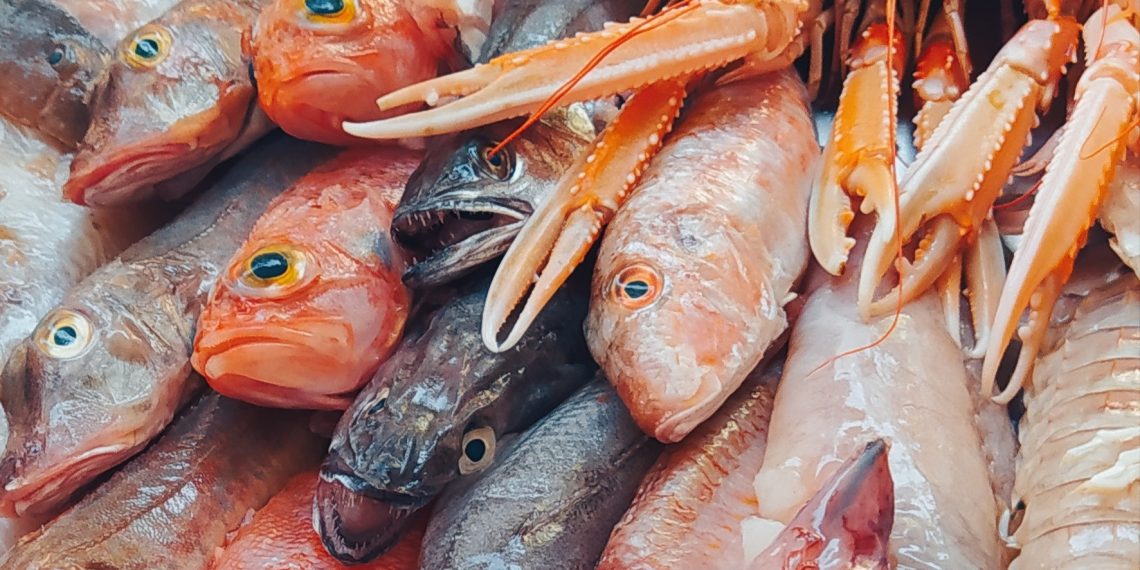 Al via «Blu come l’Abruzzo», il progetto che mette insieme turismo, sostenibilità e cultura marinara dalla rete alla tavola