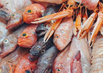 Al via «Blu come l’Abruzzo», il progetto che mette insieme turismo, sostenibilità e cultura marinara dalla rete alla tavola
