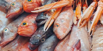 Al via «Blu come l’Abruzzo», il progetto che mette insieme turismo, sostenibilità e cultura marinara dalla rete alla tavola