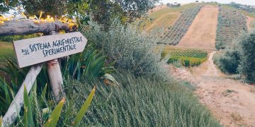 Tortoreto Greendays 2026, a Terra di Ea tra fermentazioni naturali, suoli vivi e biodiversità