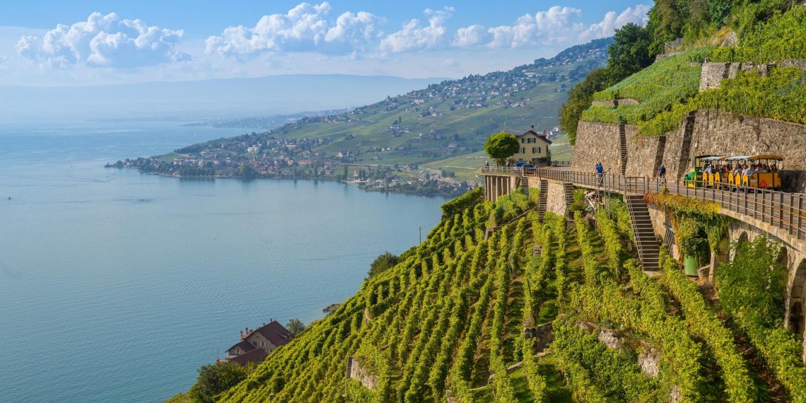 Viticoltura eroica protagonista tra l’Alto Adige, la Catalogna… e l’Abruzzo